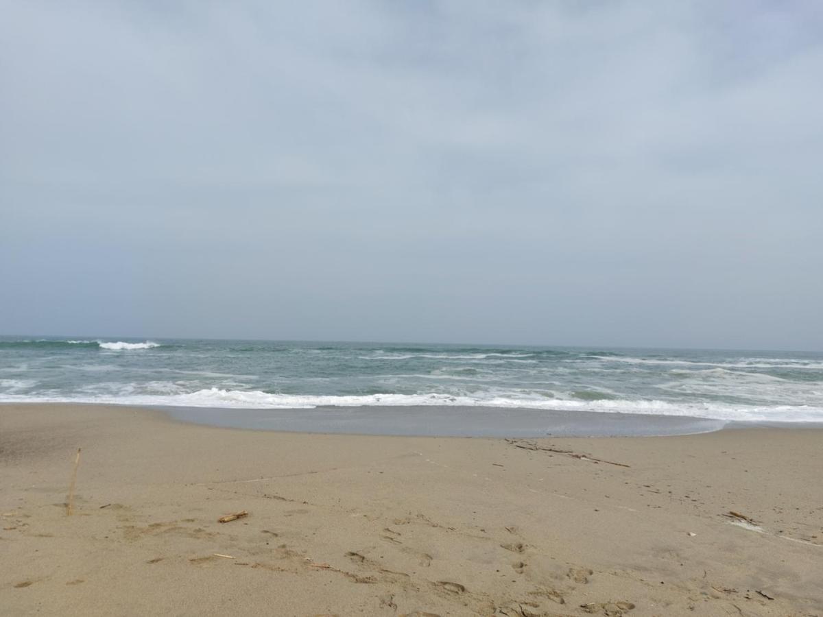 Saint Cyprien - Appart - Piscine-Mer Екстериор снимка